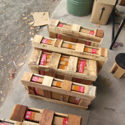 WhatsApp Image 2025-03-10 at 22.04.53